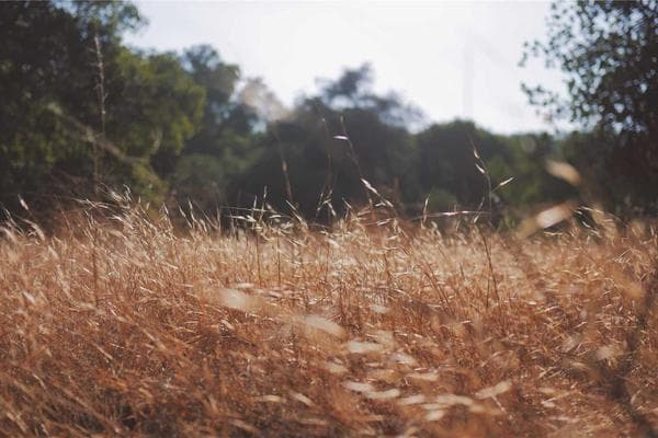 Кирпич жженый М150