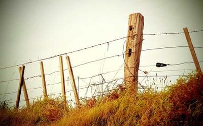 Stroy.kg запускает программу верификации PRO